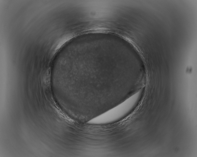 X0000088881450200706291552