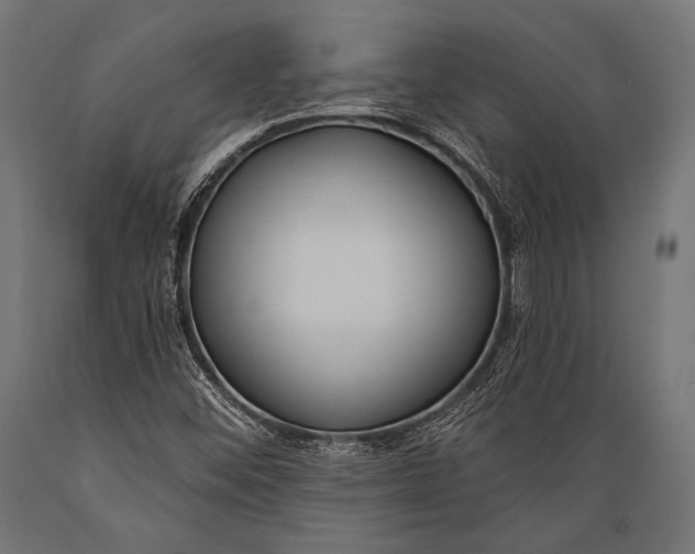 X0000088881452200706291552