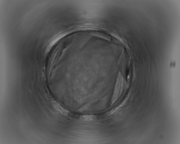 X0000088881453200706291552