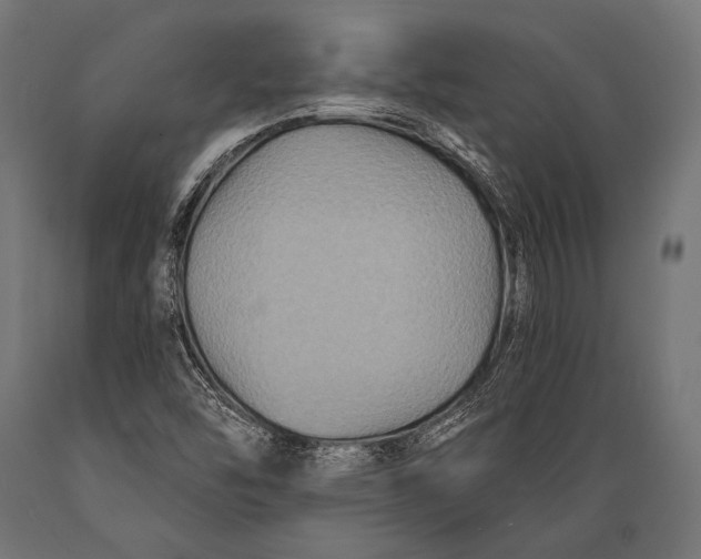 X0000088881454200706291552