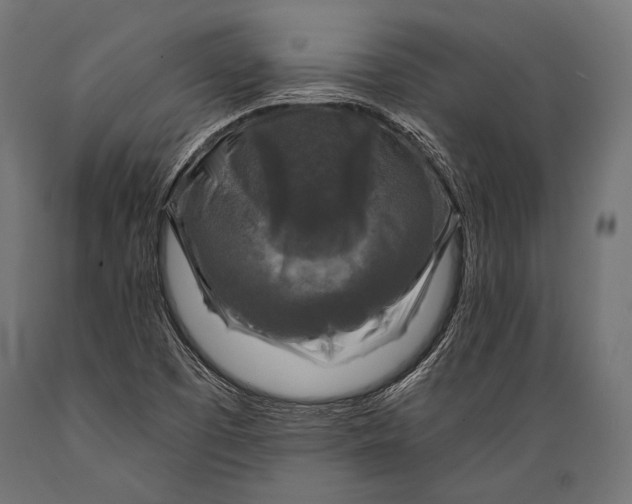 X0000088881457200706291552