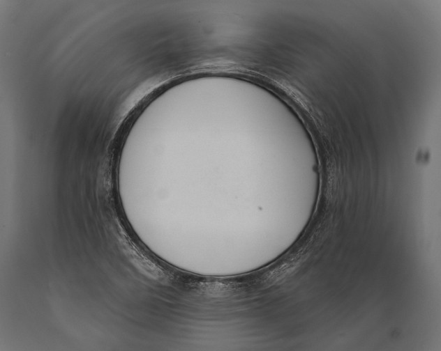 X0000088881458200706291552