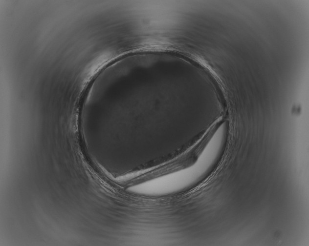 X0000088881459200706291552