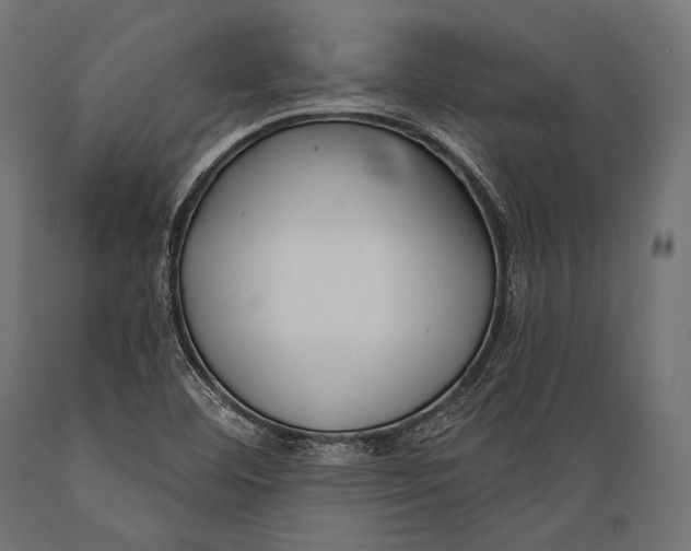 X0000088881460200706291552