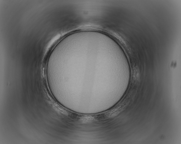 X0000088881462200706291552