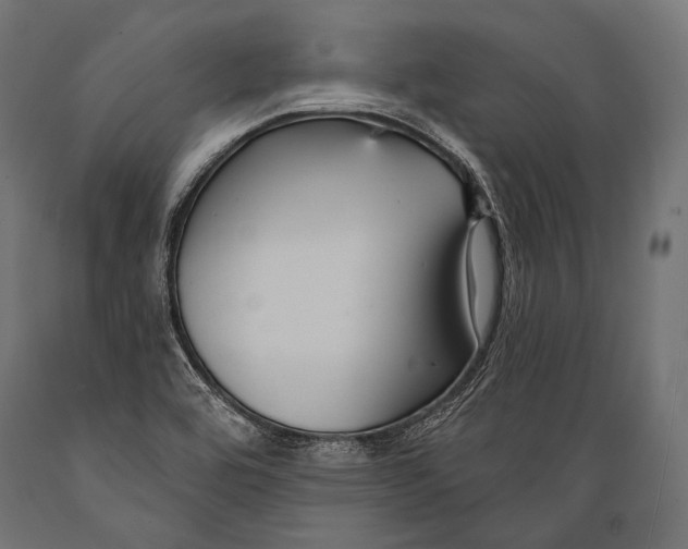 X0000088881464200706291552