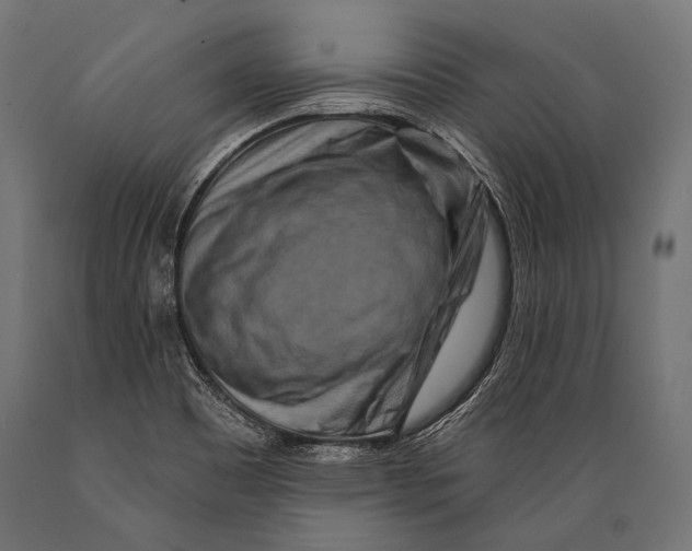 X0000088881465200706291552