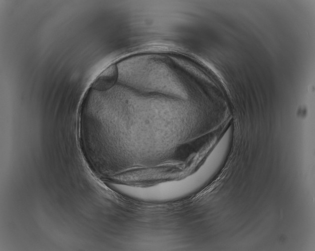 X0000088881467200706291552