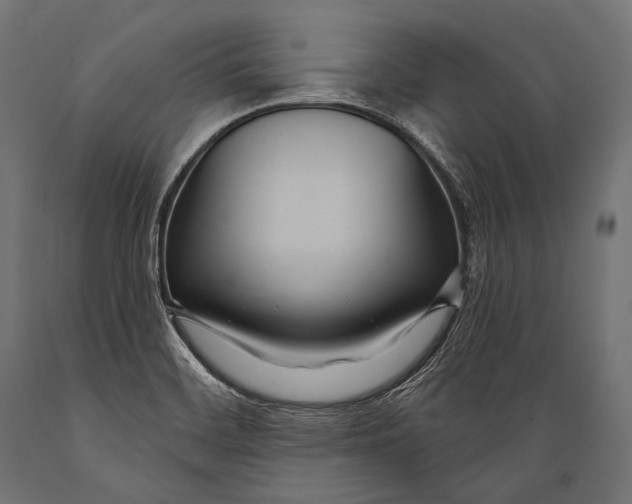 X0000088881468200706291552