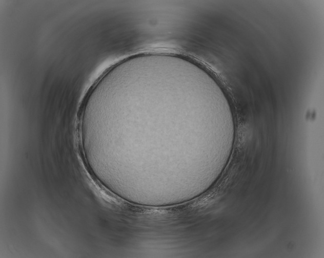 X0000088881470200706291552