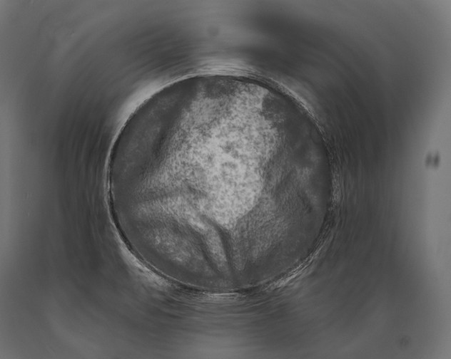 X0000088881471200706291552