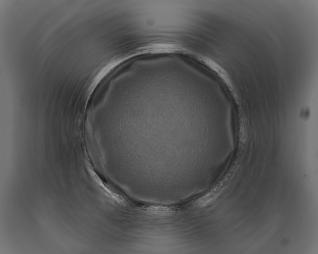 X0000088881473200706291552