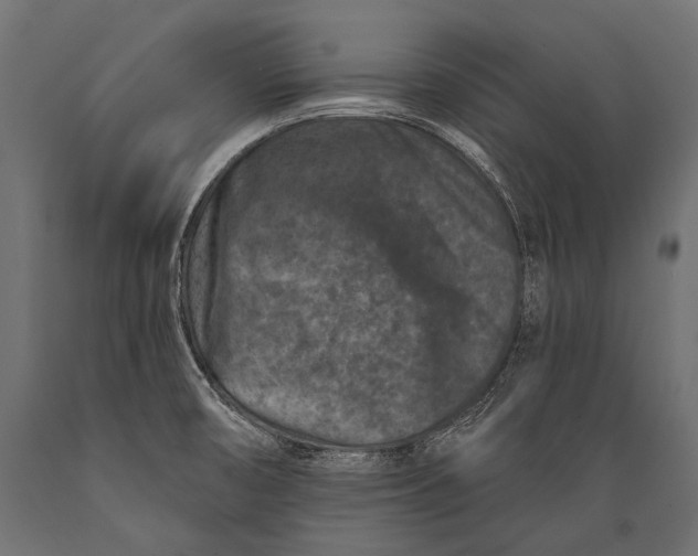 X0000088881474200706291552