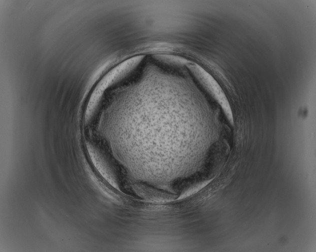 X0000088881475200706291552