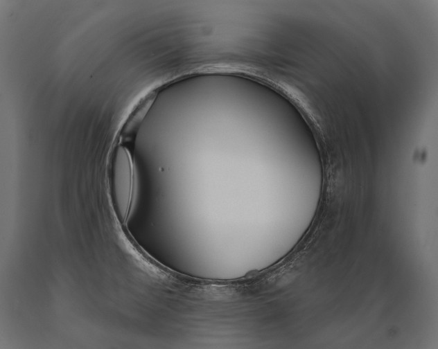 X0000088881476200706291552