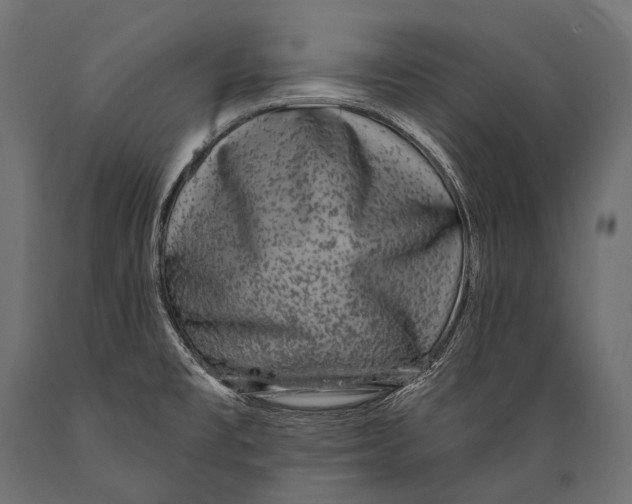 X0000088881477200706291552