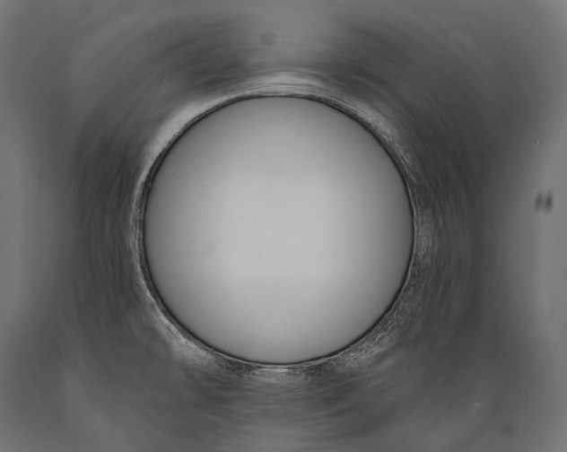 X0000088881478200706291552