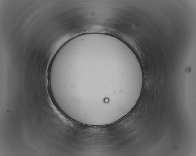 X0000088881479200706291552