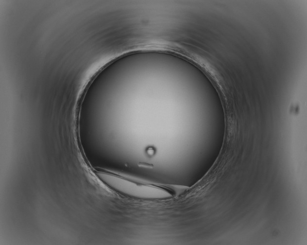 X0000088881480200706291552