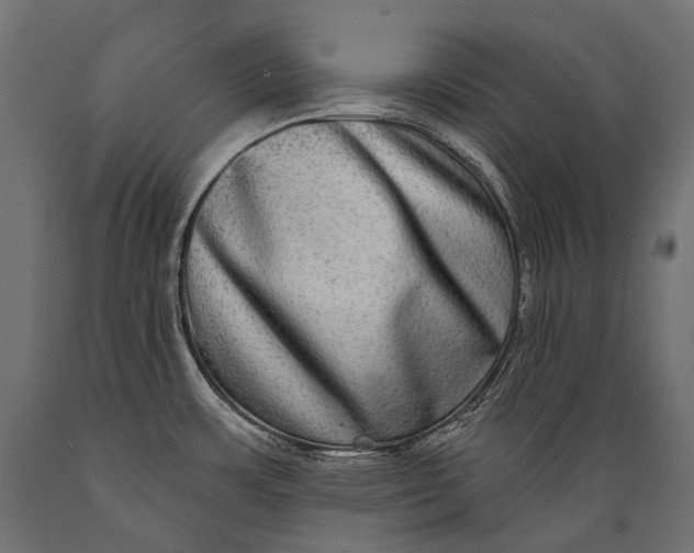 X0000088881483200706291552