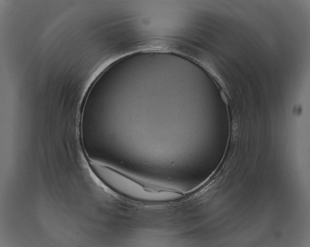 X0000088881484200706291552