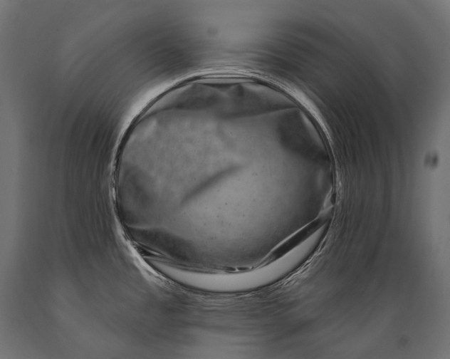 X0000088881485200706291552