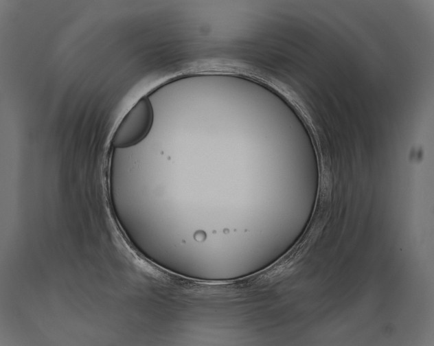 X0000088881486200706291552