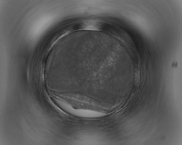 X0000088881487200706291552