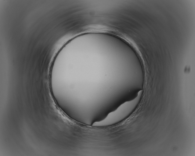 X0000088881488200706291552