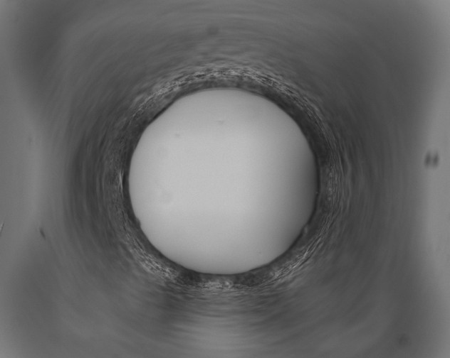 X0000088881489200706291551