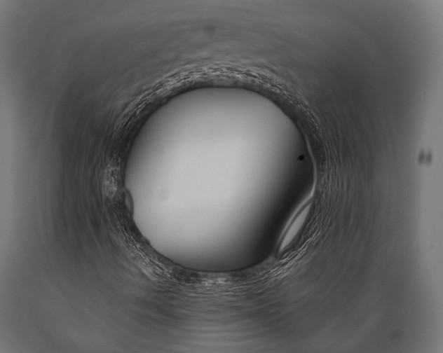 X0000088881490200706291551