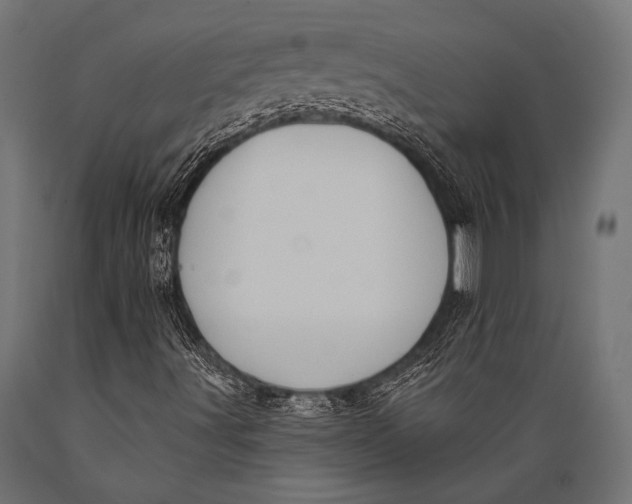 X0000088881491200706291551