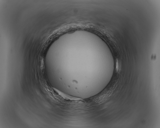 X0000088881492200706291551