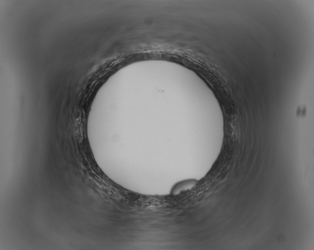 X0000088881493200706291551