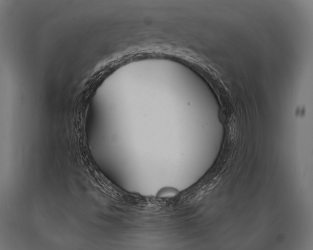 X0000088881494200706291551