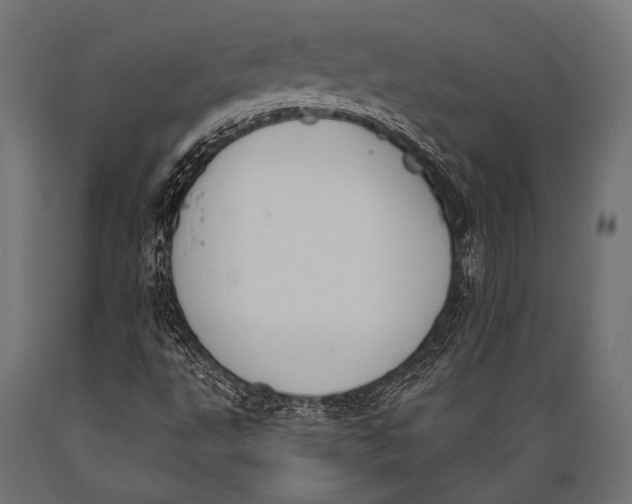 X0000088881495200706291551