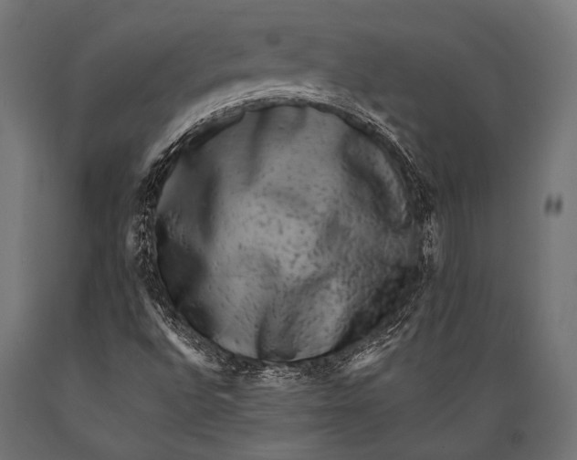 X0000088881496200706291551