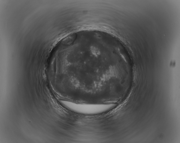 X0000088881497200706291551