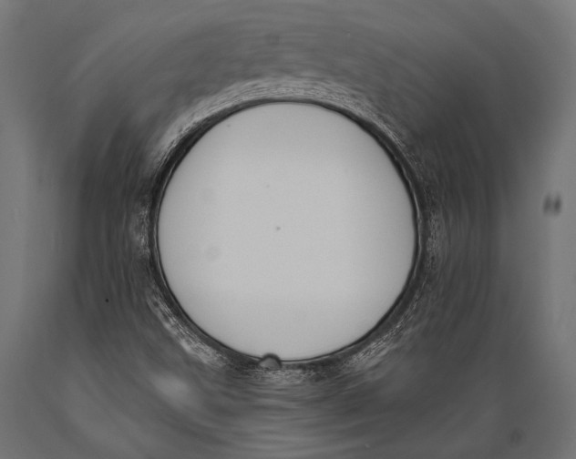 X0000088881499200706291551