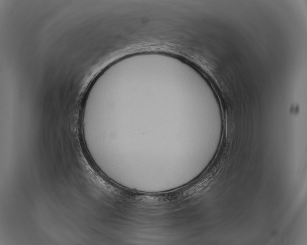 X0000088881500200706291551