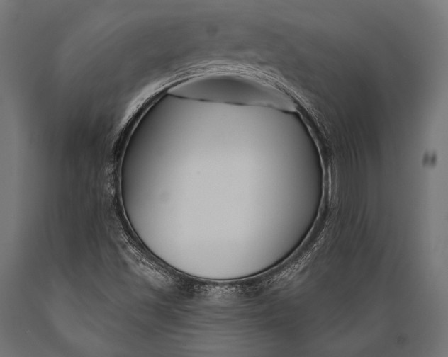 X0000088881501200706291551