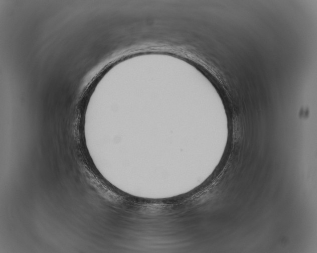 X0000088881502200706291551