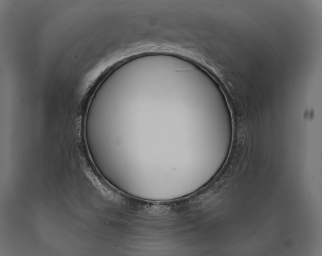 X0000088881503200706291551