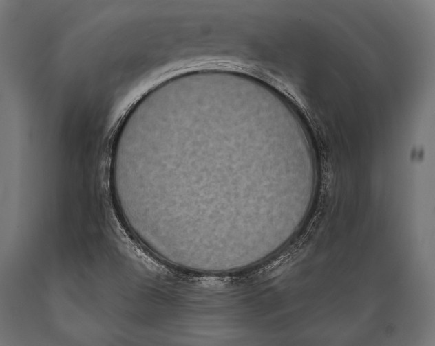 X0000088881504200706291551