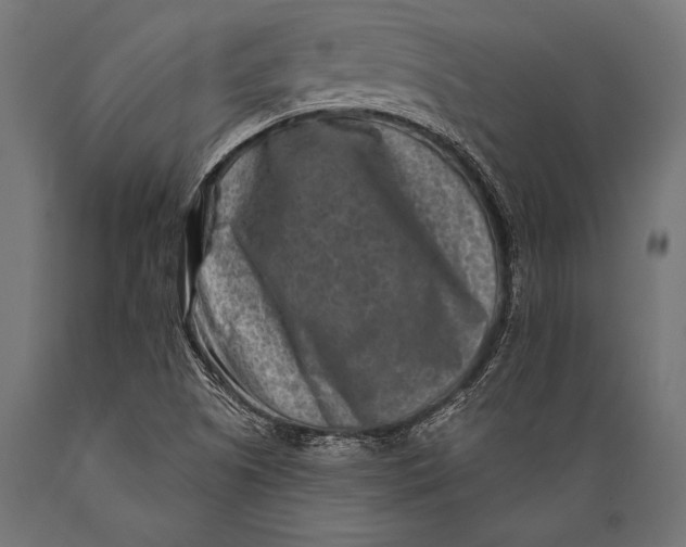 X0000088881505200706291551