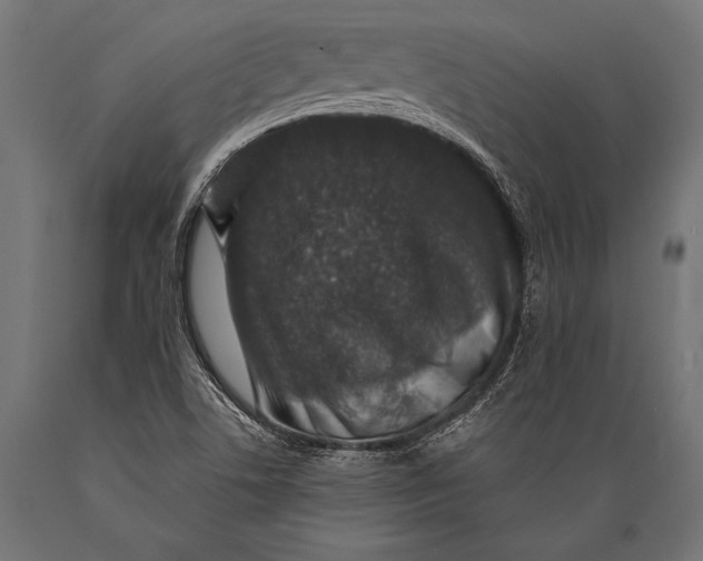 X0000088881506200706291551