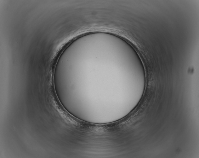 X0000088881507200706291551