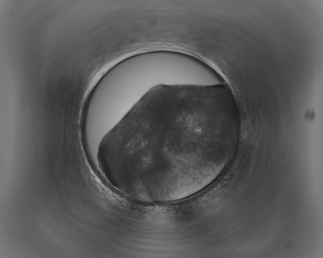 X0000088881508200706291551