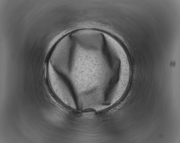 X0000088881509200706291551