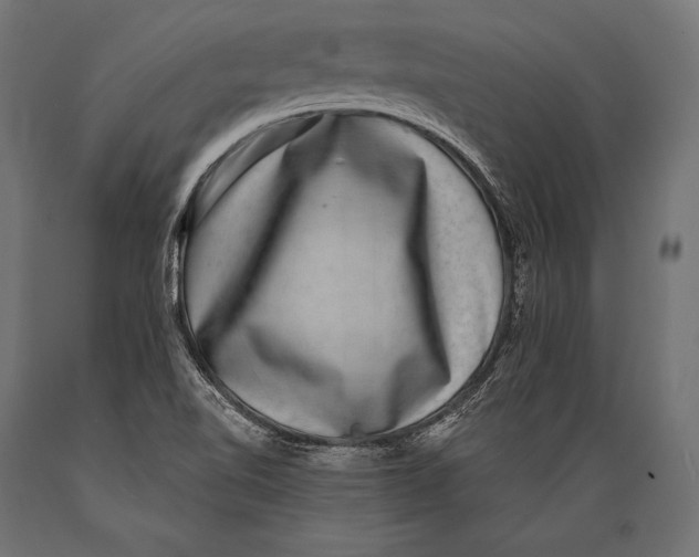 X0000088881510200706291551